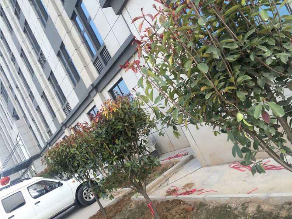 河南sb总代理