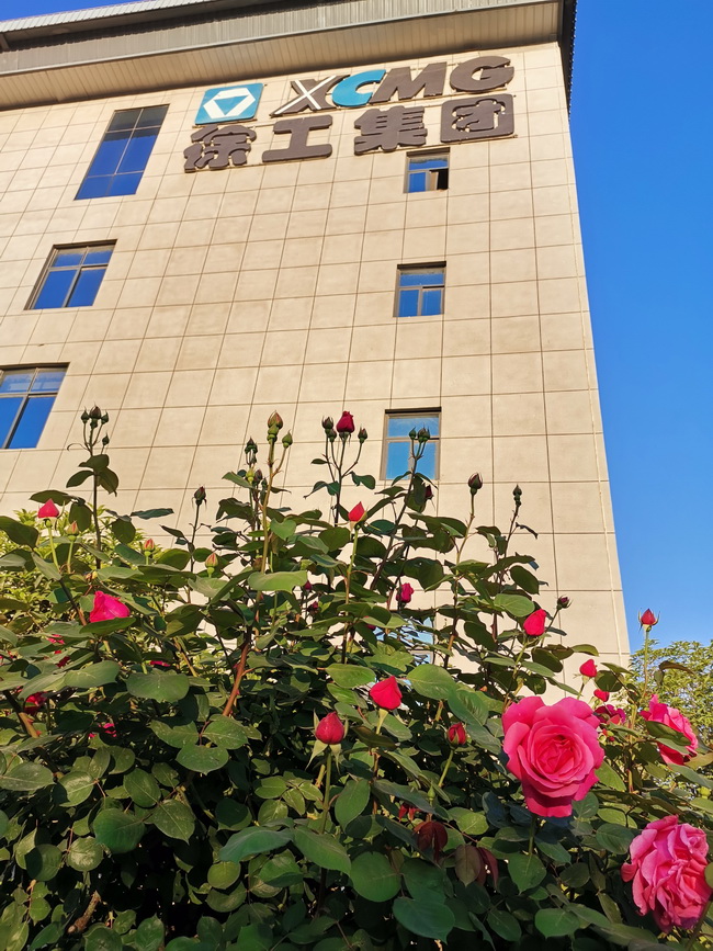 鲜花下的sb集团